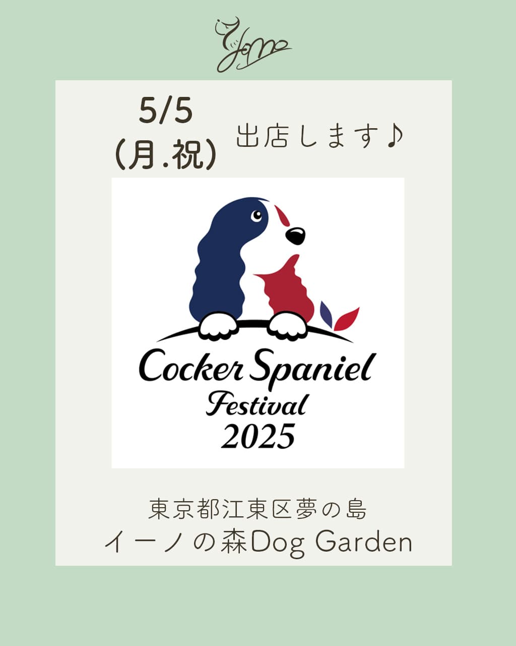 コッカースパニエル&シェルティフェスティバル出展のお知らせ